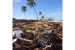 Image Plastic waste on beach.